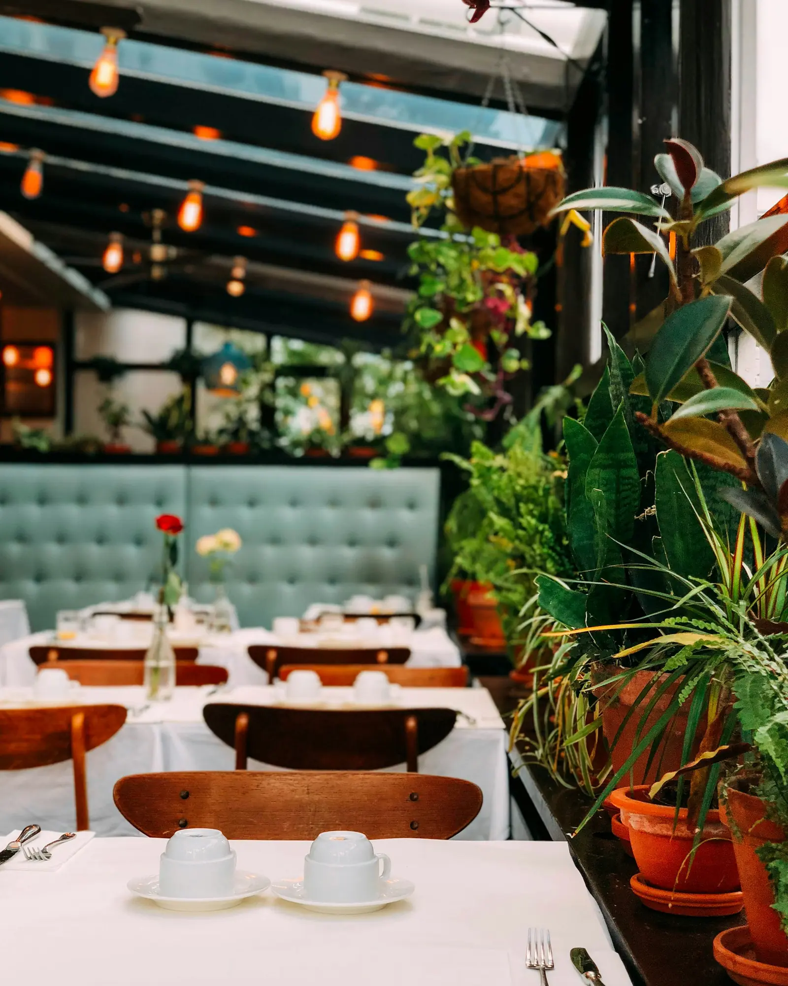 Tables among greenery under warm lights